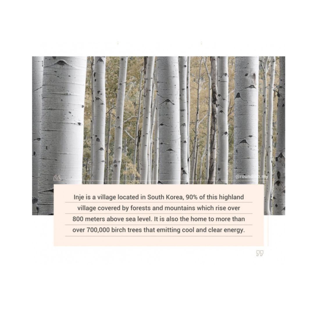 ROUND LAB Birch Juice Moisturizing Sunscreen - Image 3