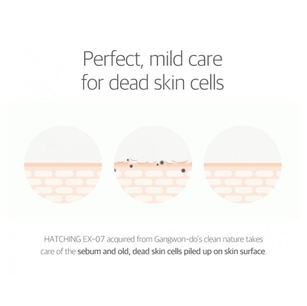 ROUND LAB 1025 Dokdo Toner - Image 4