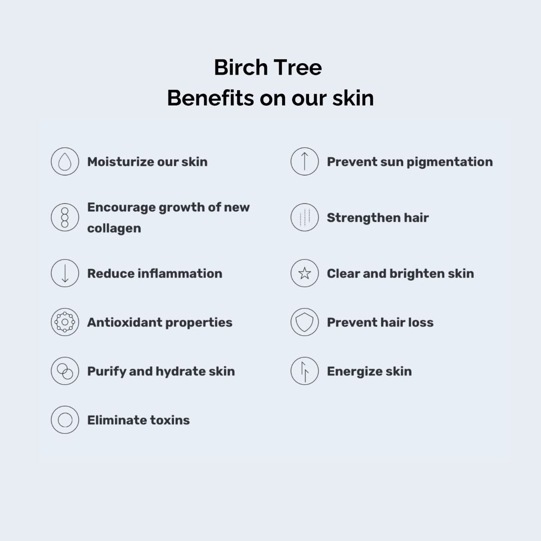 ROUND LAB Birch Juice Moisturising Cleanser - Image 5