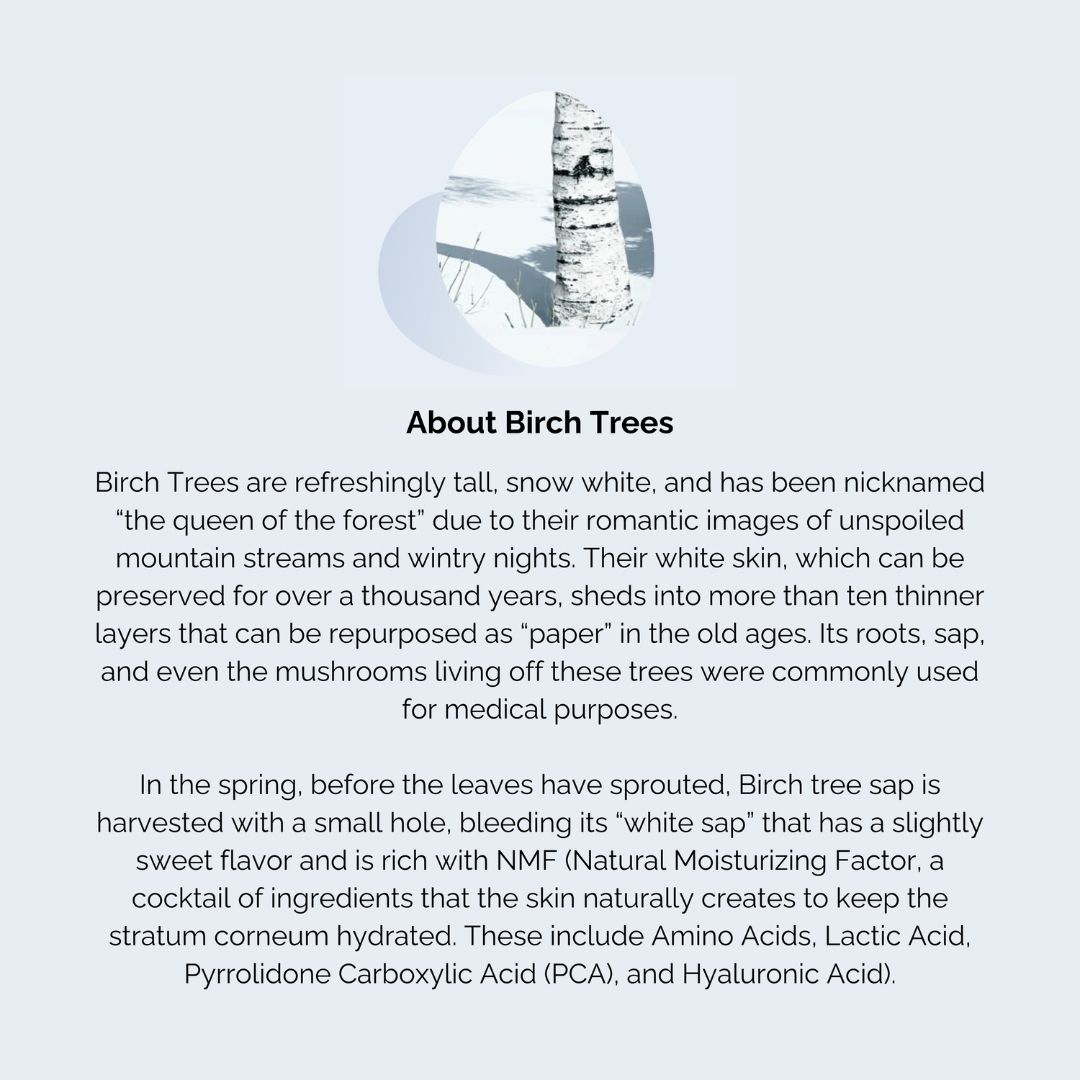 ROUND LAB Birch Juice Moisturising Cleanser - Image 6