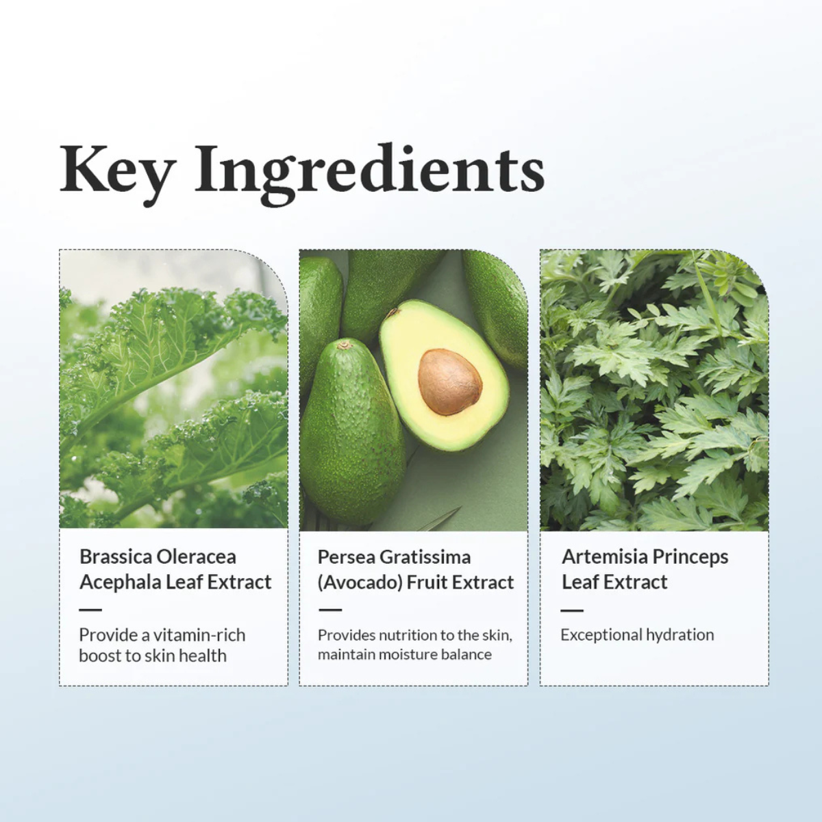 DR. ALTHEA 147 Barrier Cream - Image 4